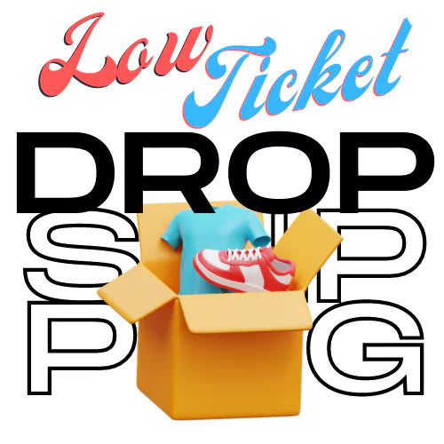 Low Ticket Dropshipping Course (Coming Soon!)